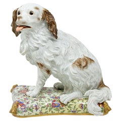 Meissen Porcelain, Bolognese Puppy on a Pillow