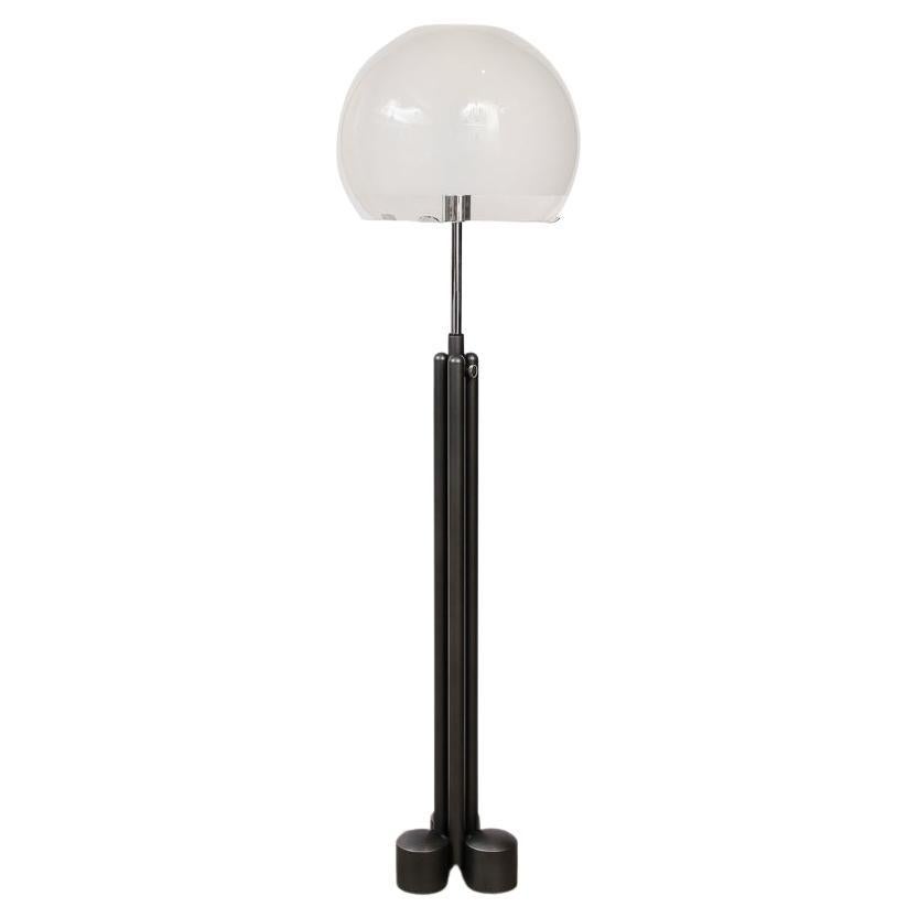 Porcino Floor Lamp Model LTE 13 by Luigi Caccia Dominioni