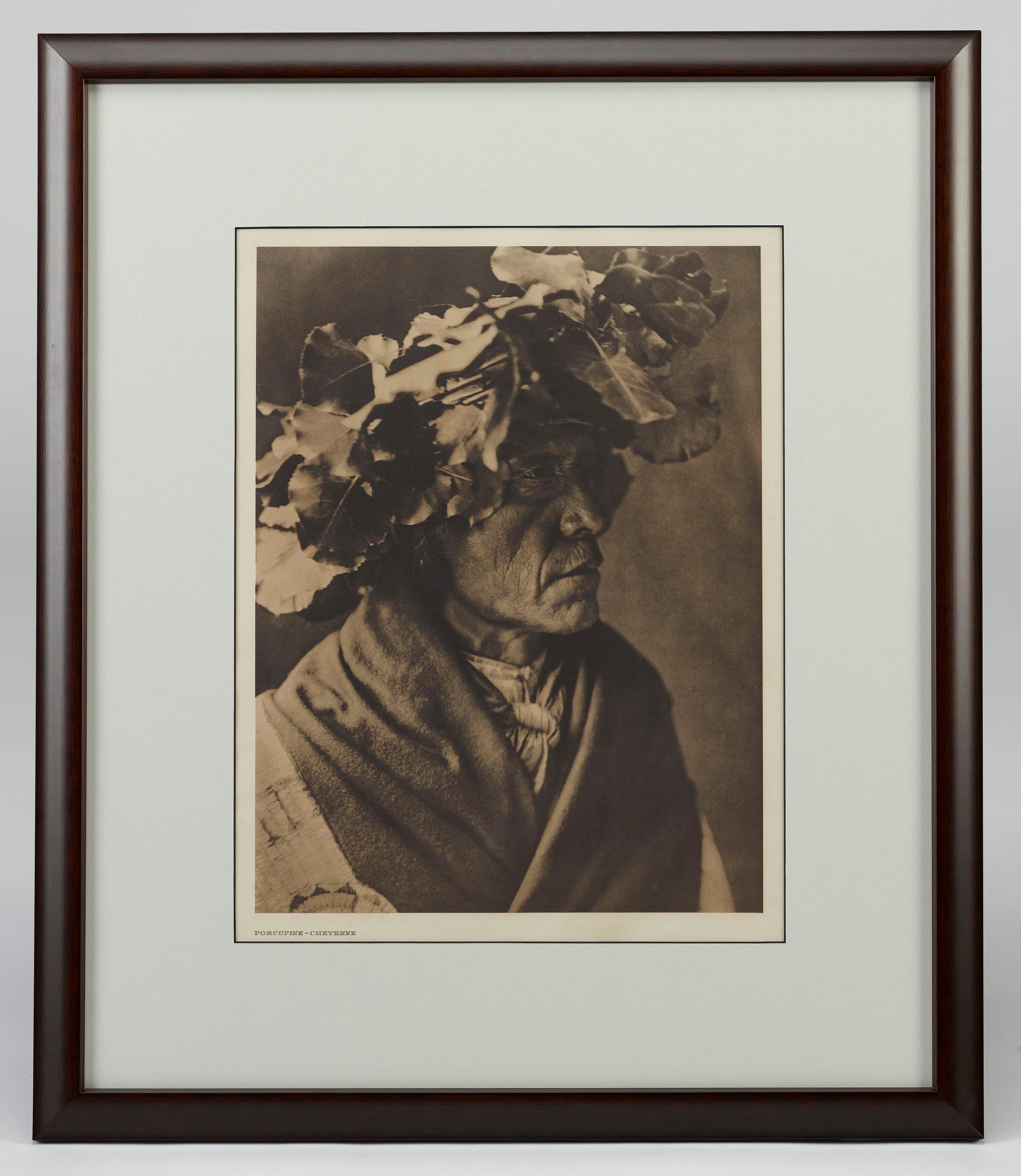 Presented is a fine photogravure portrait of a Cheyenne man with cottonwood leave headdress by Edward Curtis. The image is Plate 216 from Supplementary Portfolio 6 of Edward Curtis' epic project The North American Indian. The sixth portfolio volume