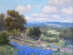 " BLUEBONNET BALLET "  TEXAS HILL COUNTRY WILDFLOWERS