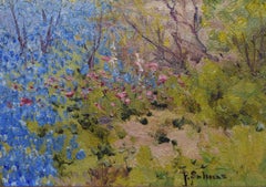 " BLUEBONNETS "  NORTH OF SAN ANTONIO TEXAS.  TEXAS HILL COUNTRY