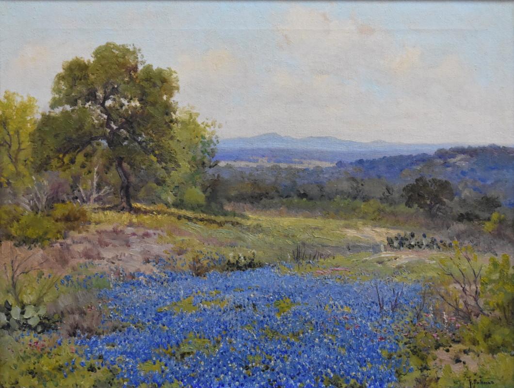 Porfirio Salinas Landscape Painting - " BLUEBONNETS "  NORTH OF SAN ANTONIO TEXAS.  TEXAS HILL COUNTRY