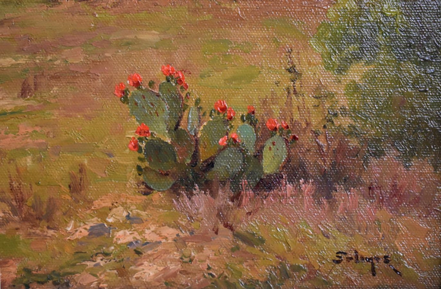 Porfirio Salinas Hill Country Blooms Spring Colors Blooming