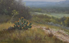 "Blooming Prickly Pear Cactus"  Texas Hill Country Landscape