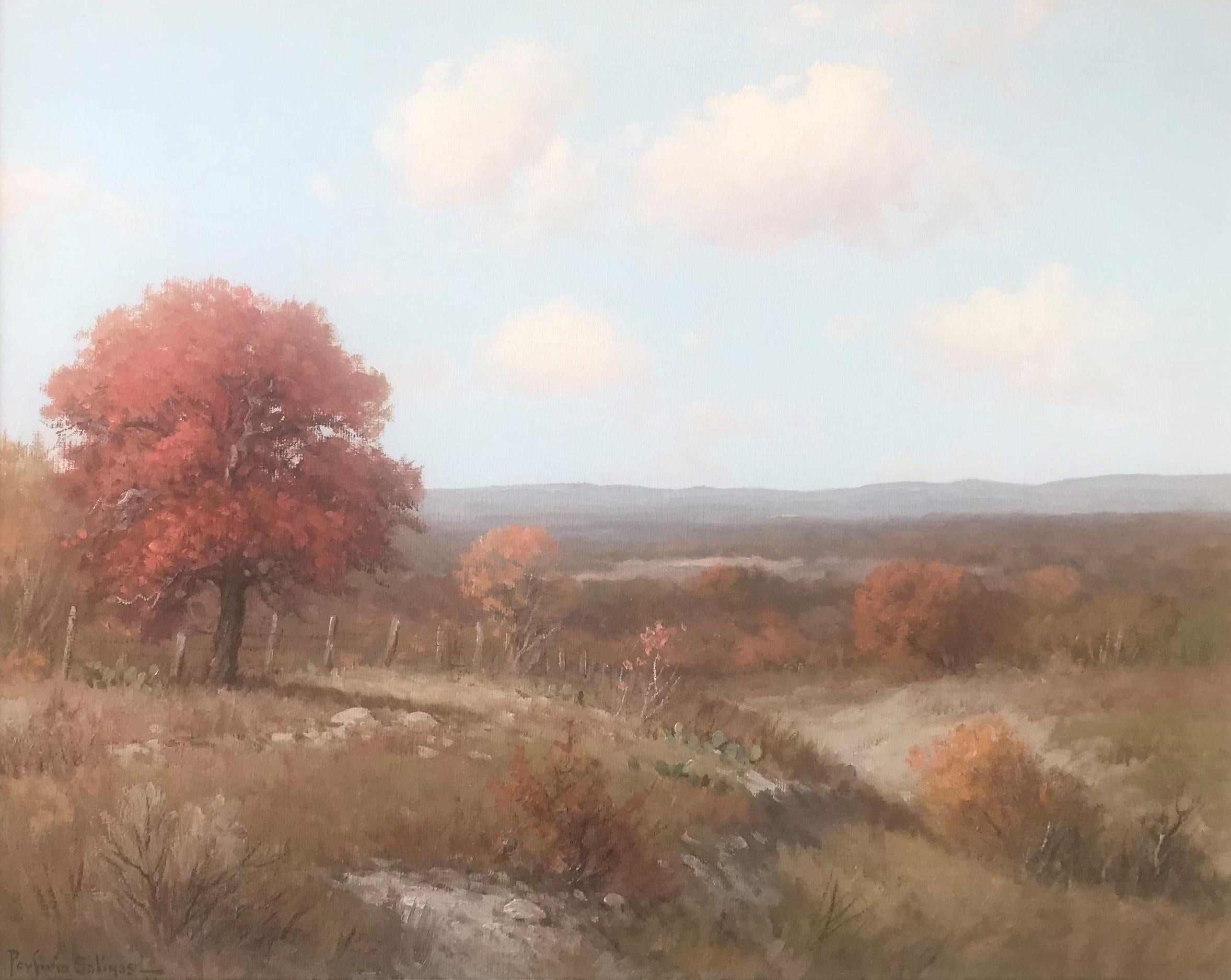 Porfirio Salinas Landscape Painting - Untitled