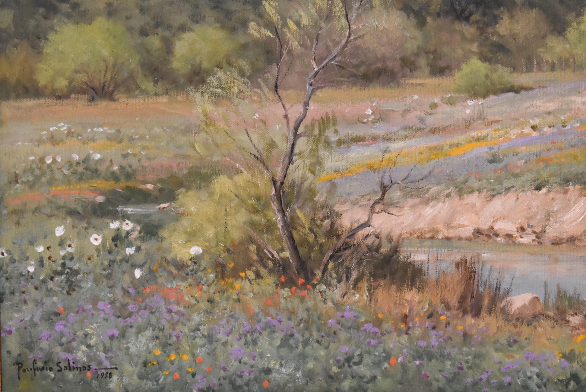 hill country paintings