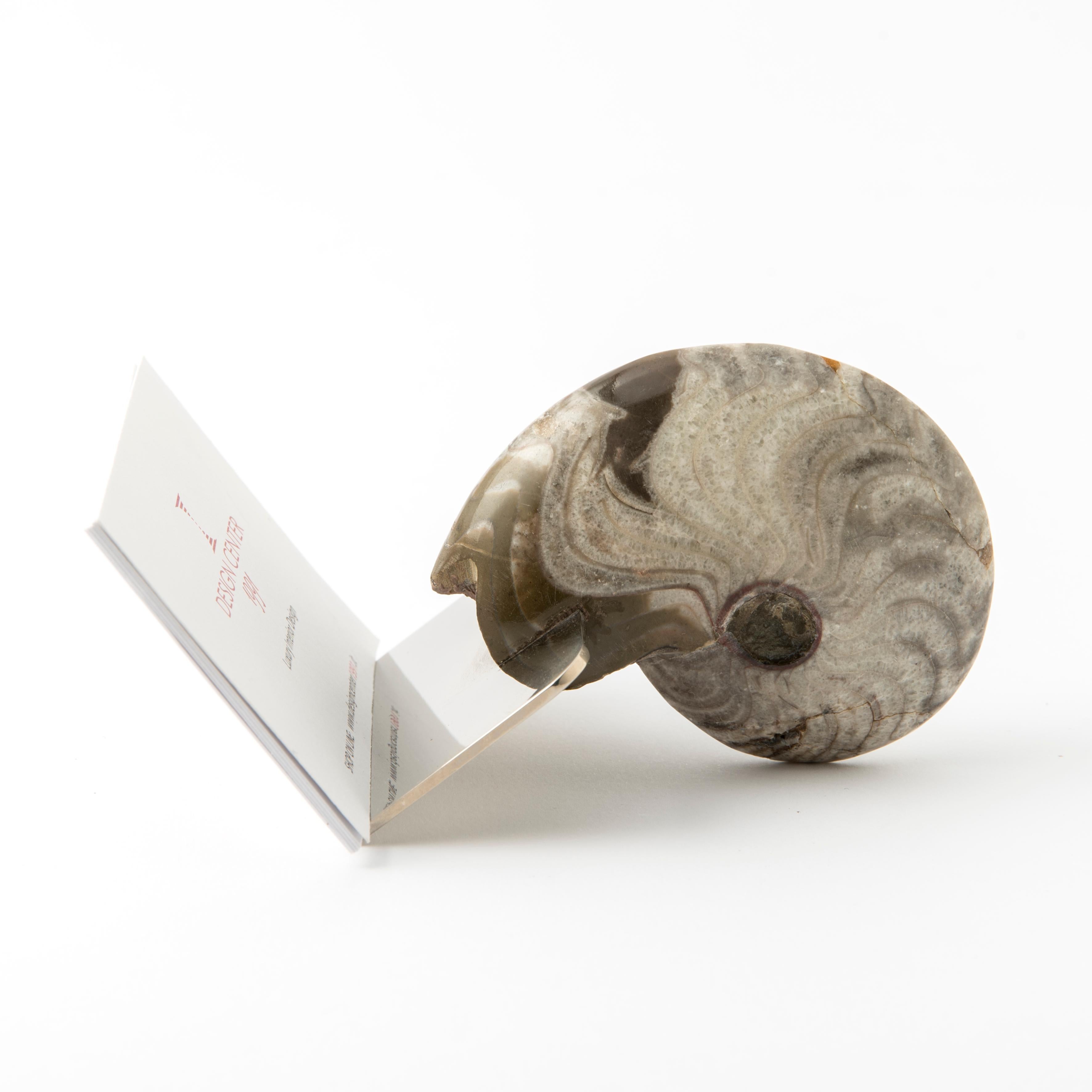 An exclusive and refined desk accessory: this business card holder combines elegant design with the extraordinary beauty of a genuine fossil ammonite. 
Each piece is unique and unrepeatable, characterized by natural shades and color gradations that