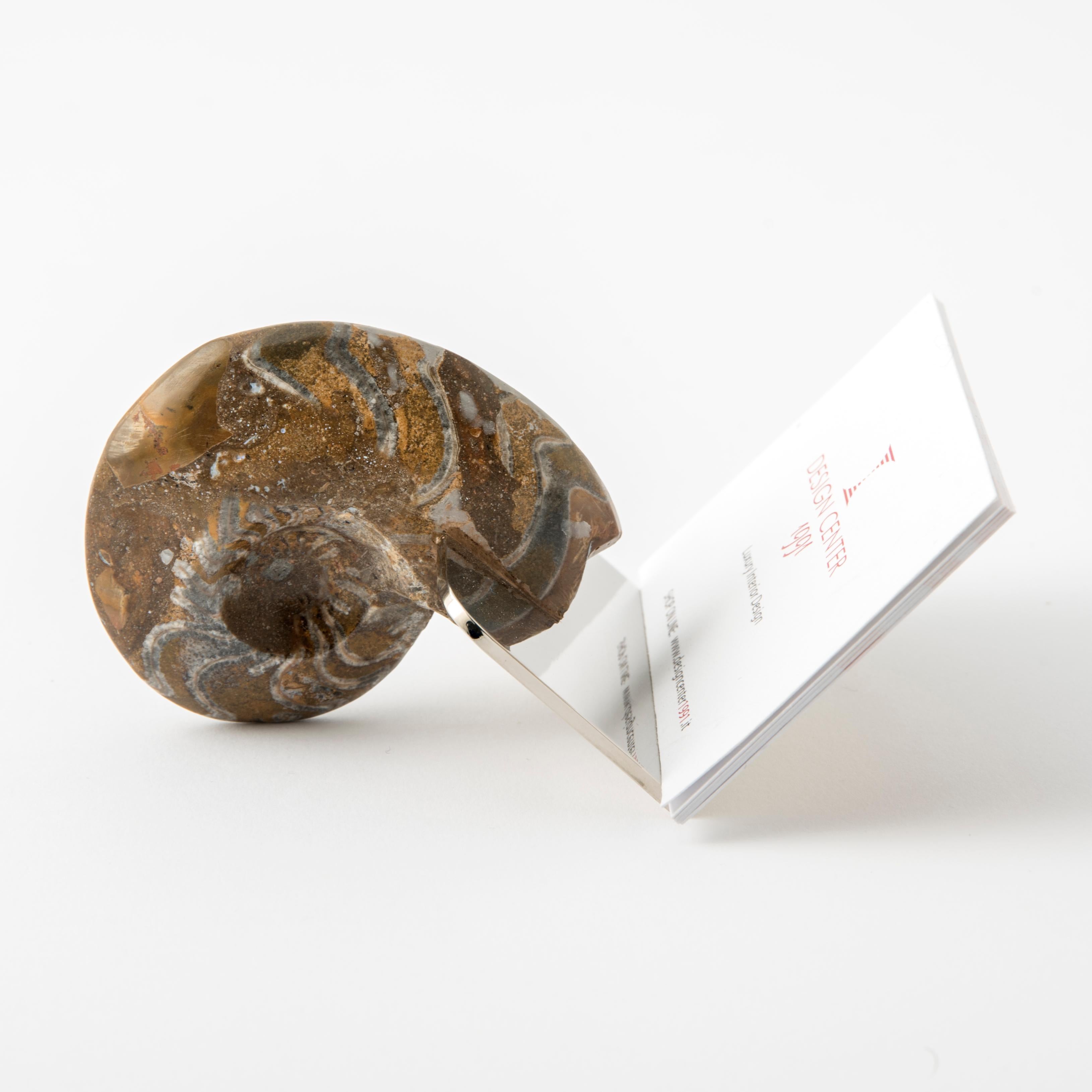Verleihen Sie Ihrem Schreibtisch eine exklusive Note mit diesem handgefertigten Visitenkartenhalter, der mit einem echten fossilen Manticoceras-Ammoniten verziert ist, der 350 Millionen Jahre alt ist. 
Jedes Stück ist ein Unikat, gekennzeichnet