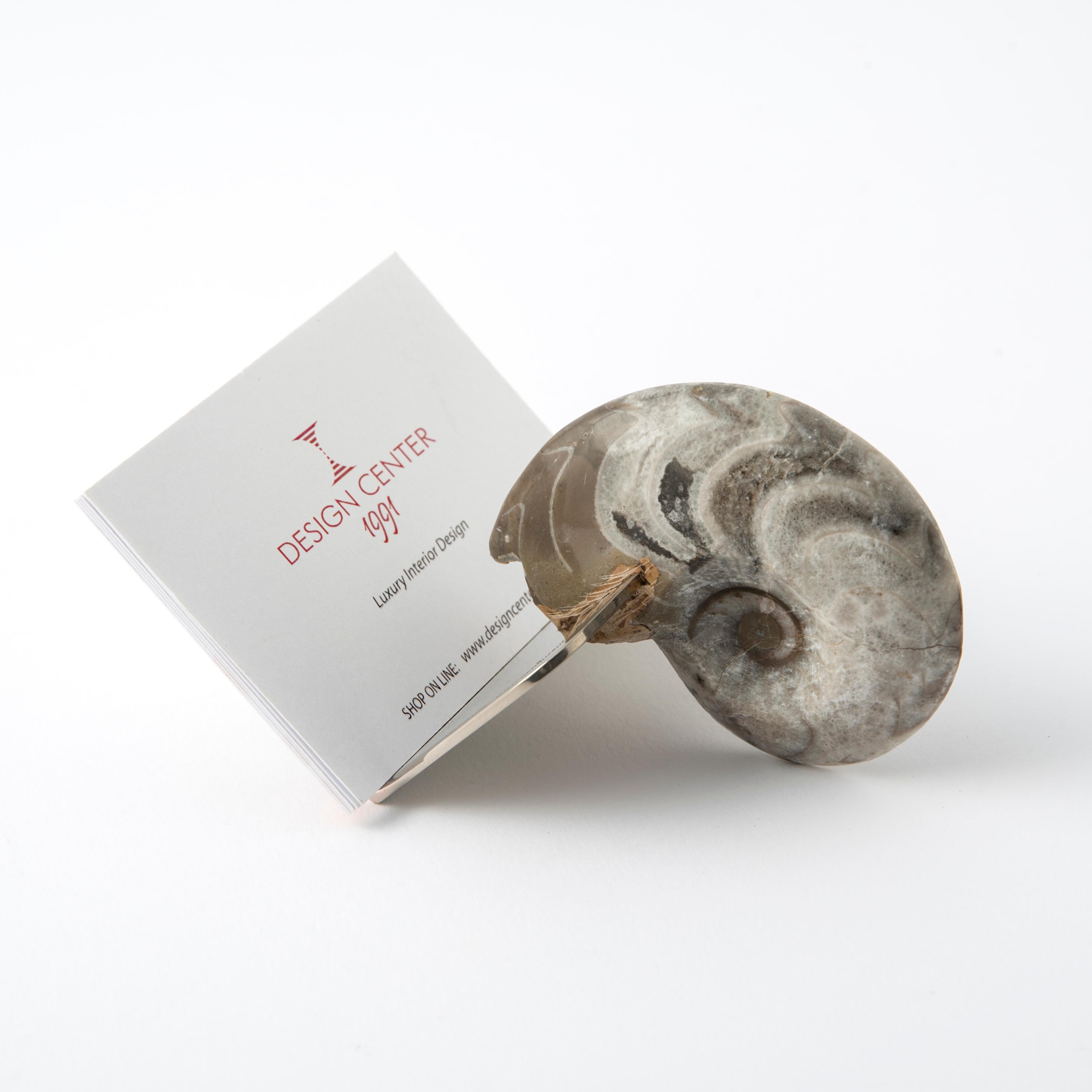 Echte Fossil Ammonit Visitenkartenhalter - Fossiline Collection (Moderne) im Angebot