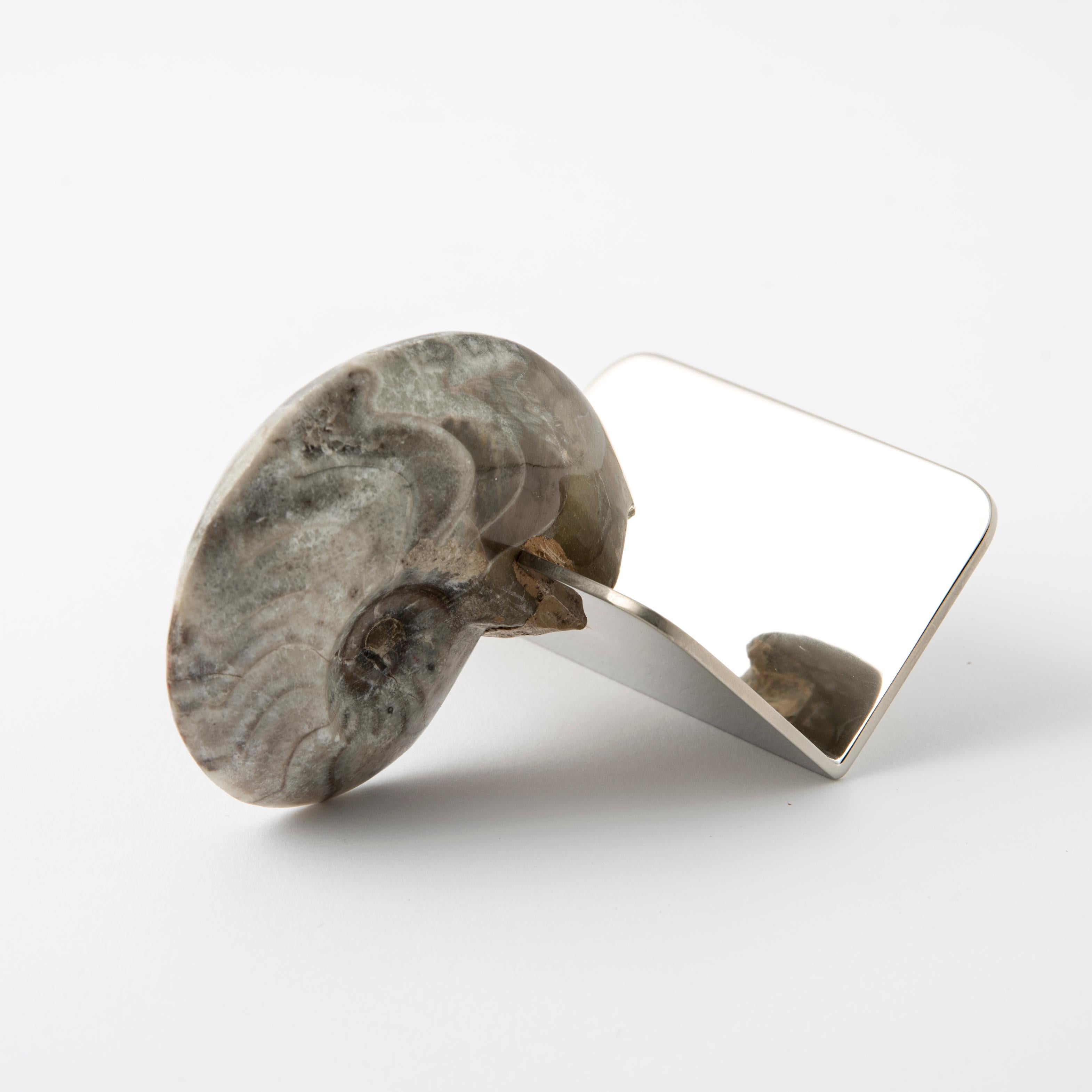 Echte Fossil Ammonit Visitenkartenhalter - Fossiline Collection (Italian) im Angebot