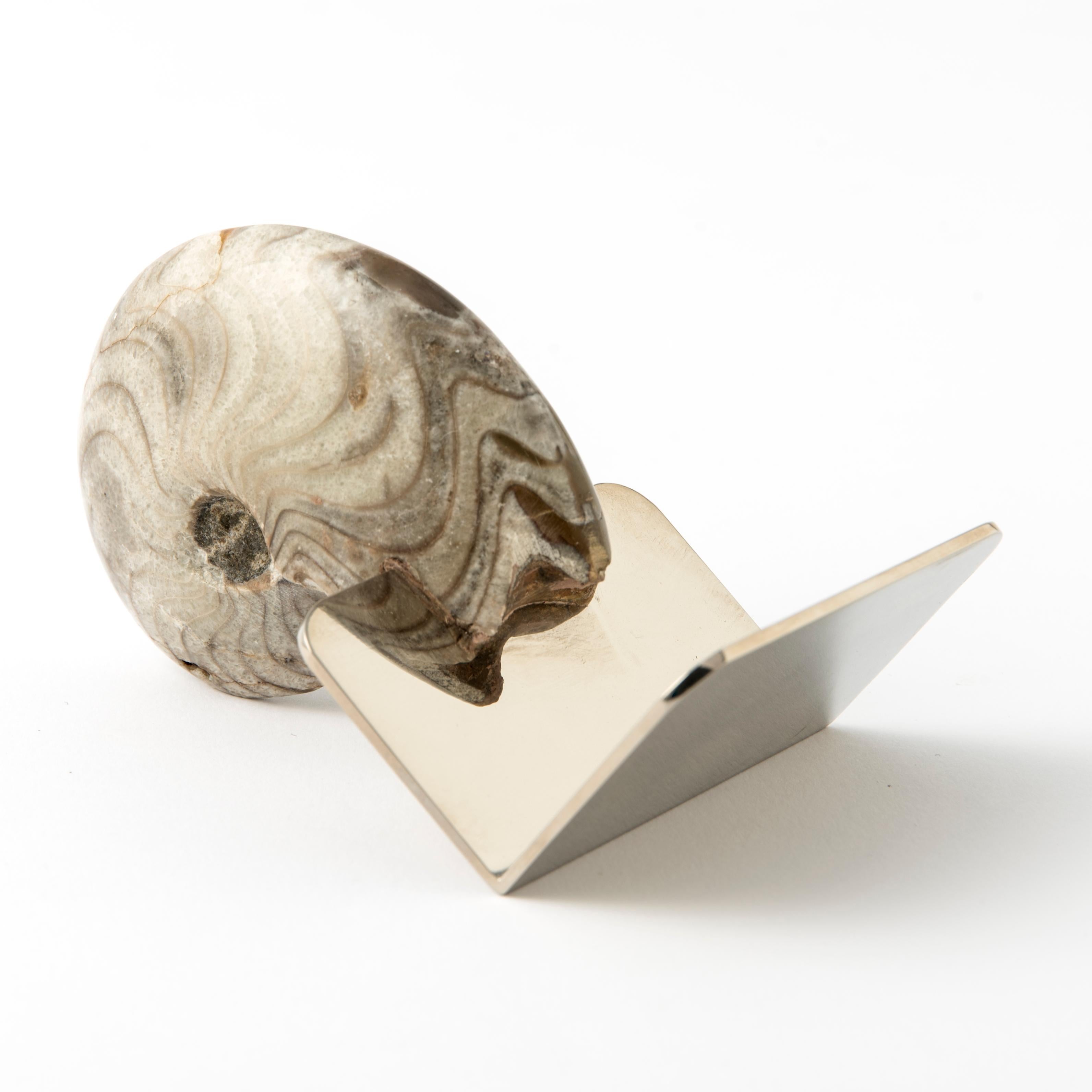 Galvanized Business Card Holder with Authentic Fossil Ammonite - Fossiline Collection For Sale