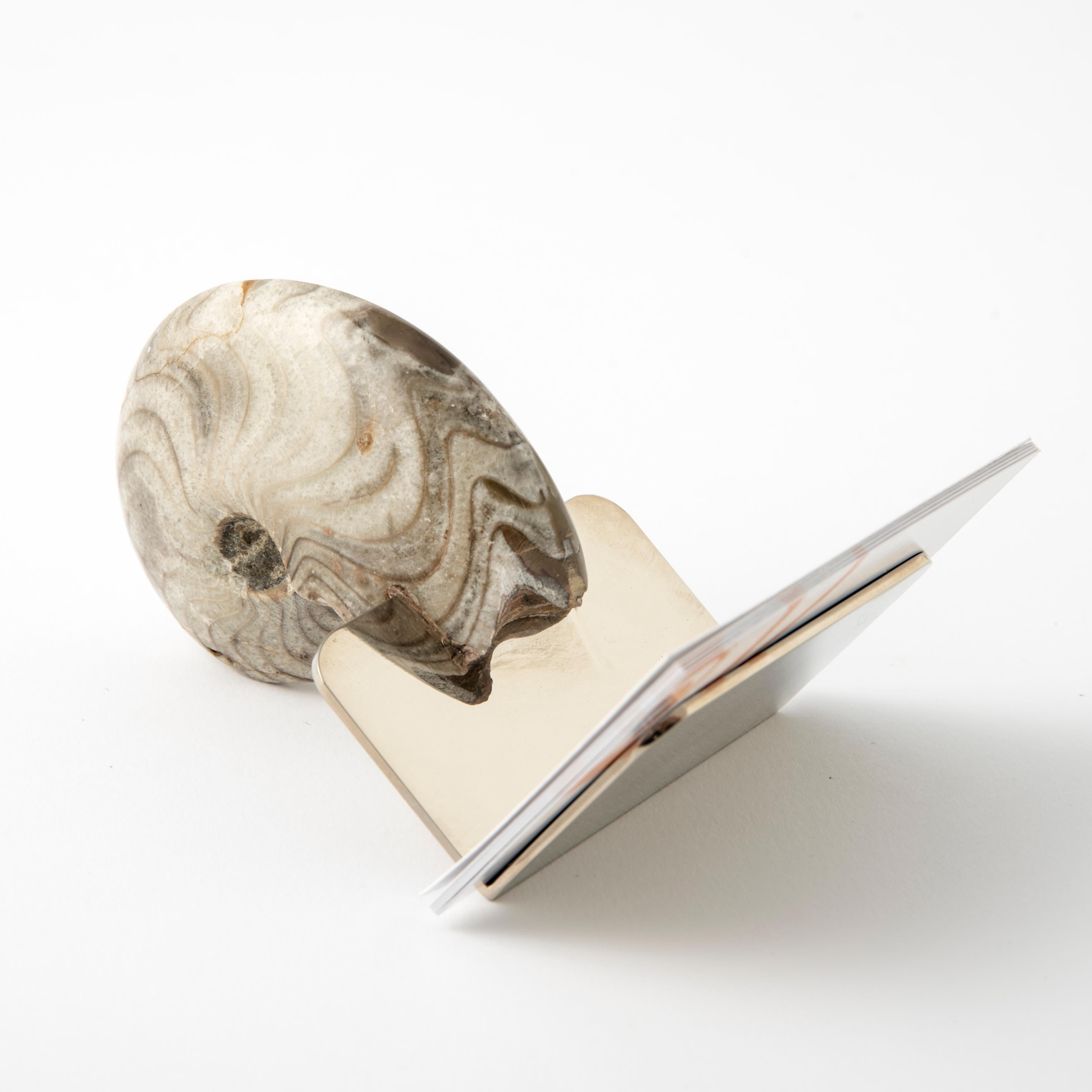 Business Card Holder with Authentic Fossil Ammonite - Fossiline Collection In New Condition For Sale In Spilimbergo, IT