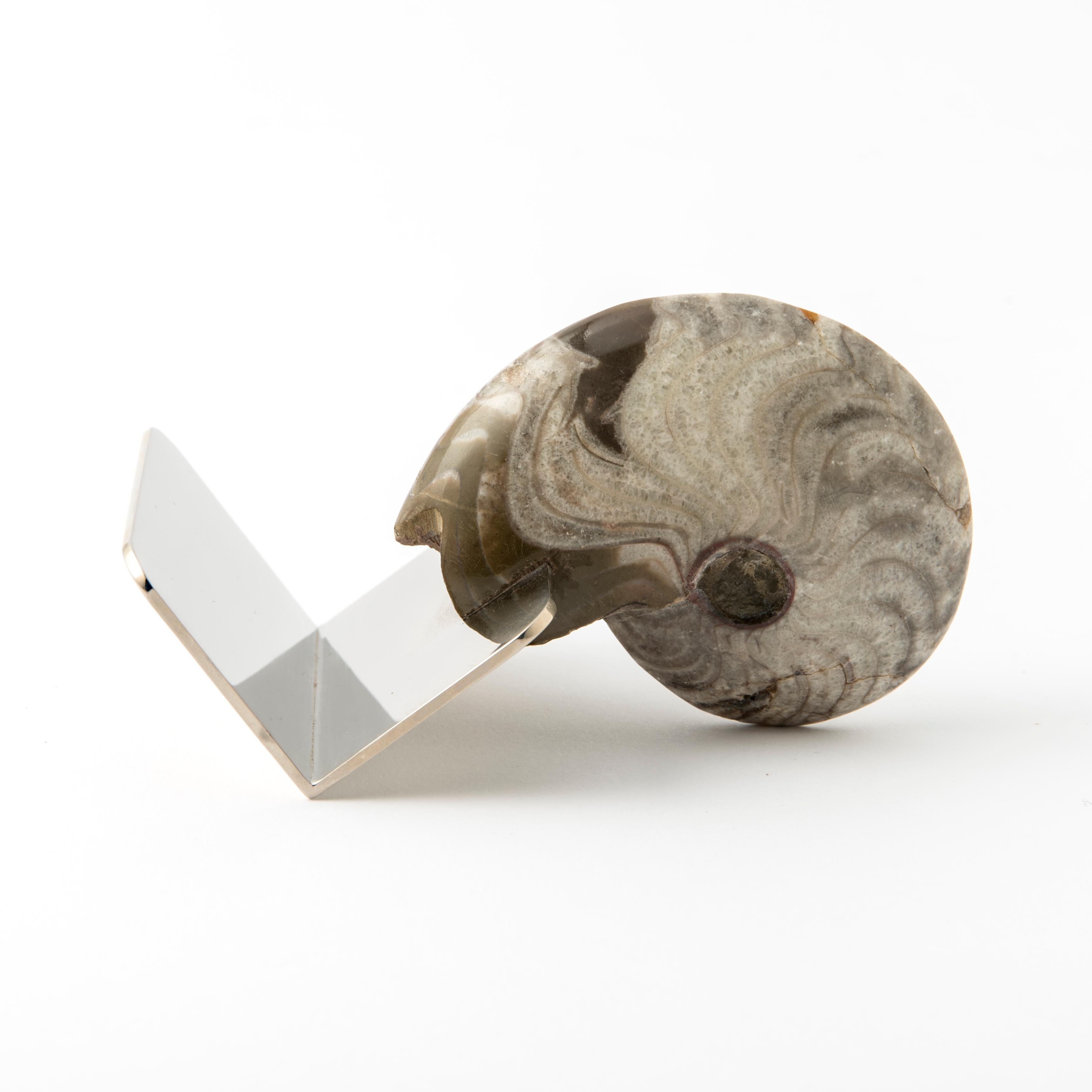 Contemporary Business Card Holder with Authentic Fossil Ammonite - Fossiline Collection For Sale