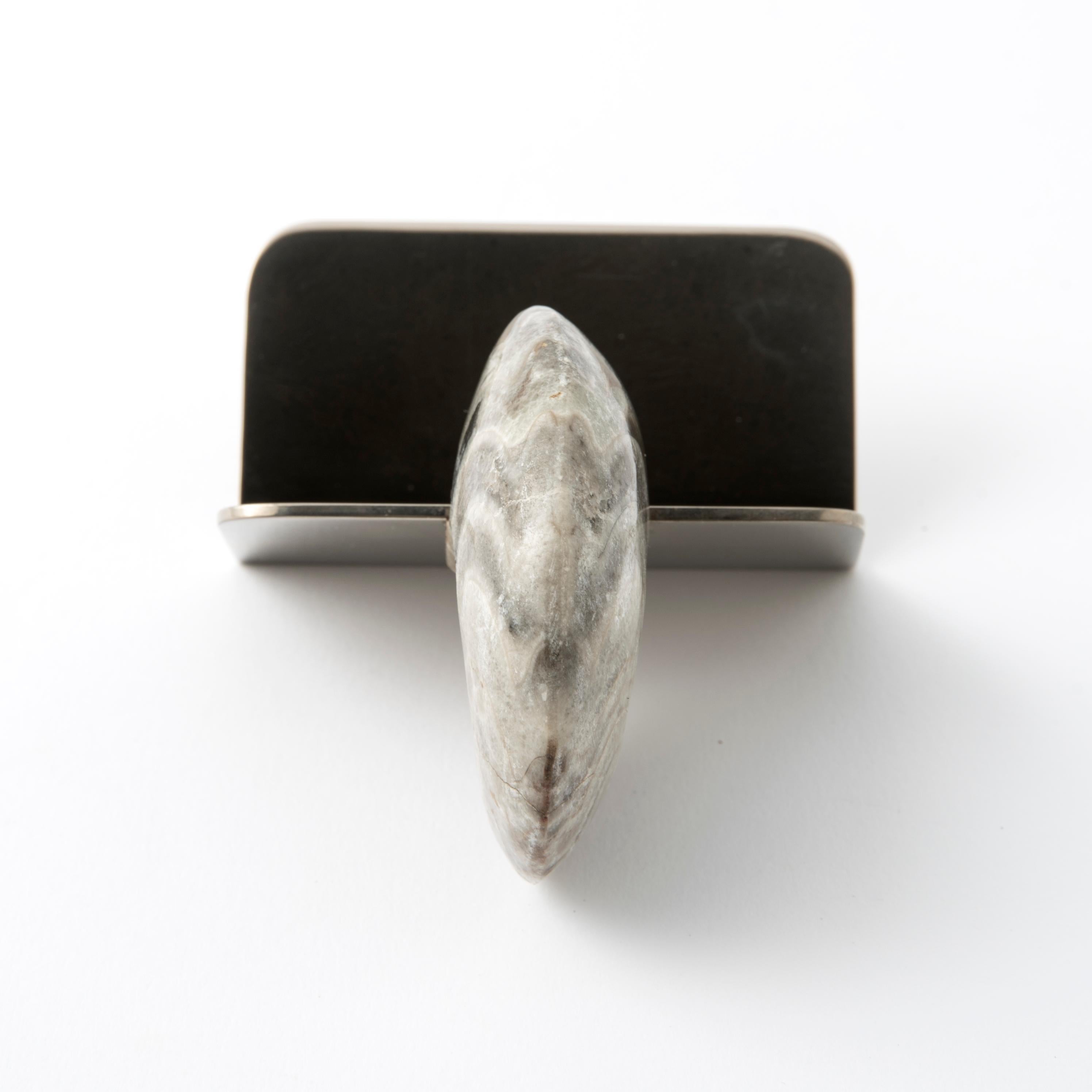 Echte Fossil Ammonit Visitenkartenhalter - Fossiline Collection (Zeitgenössisch) im Angebot