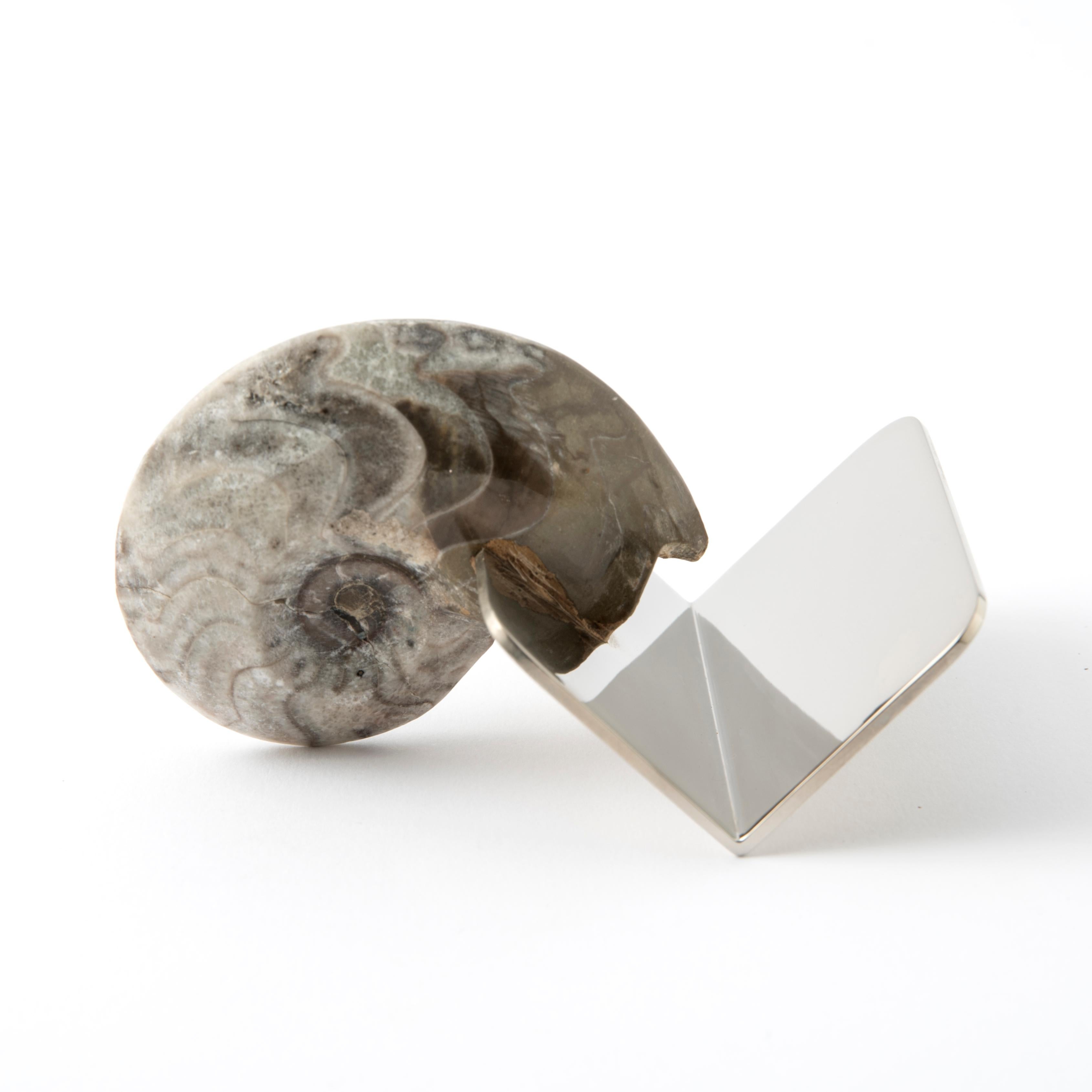Echte Fossil Ammonit Visitenkartenhalter - Fossiline Collection im Angebot 1