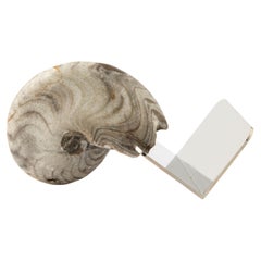 Porte-cartes de visite en ammonite fossile véritable - Fossiline Collection