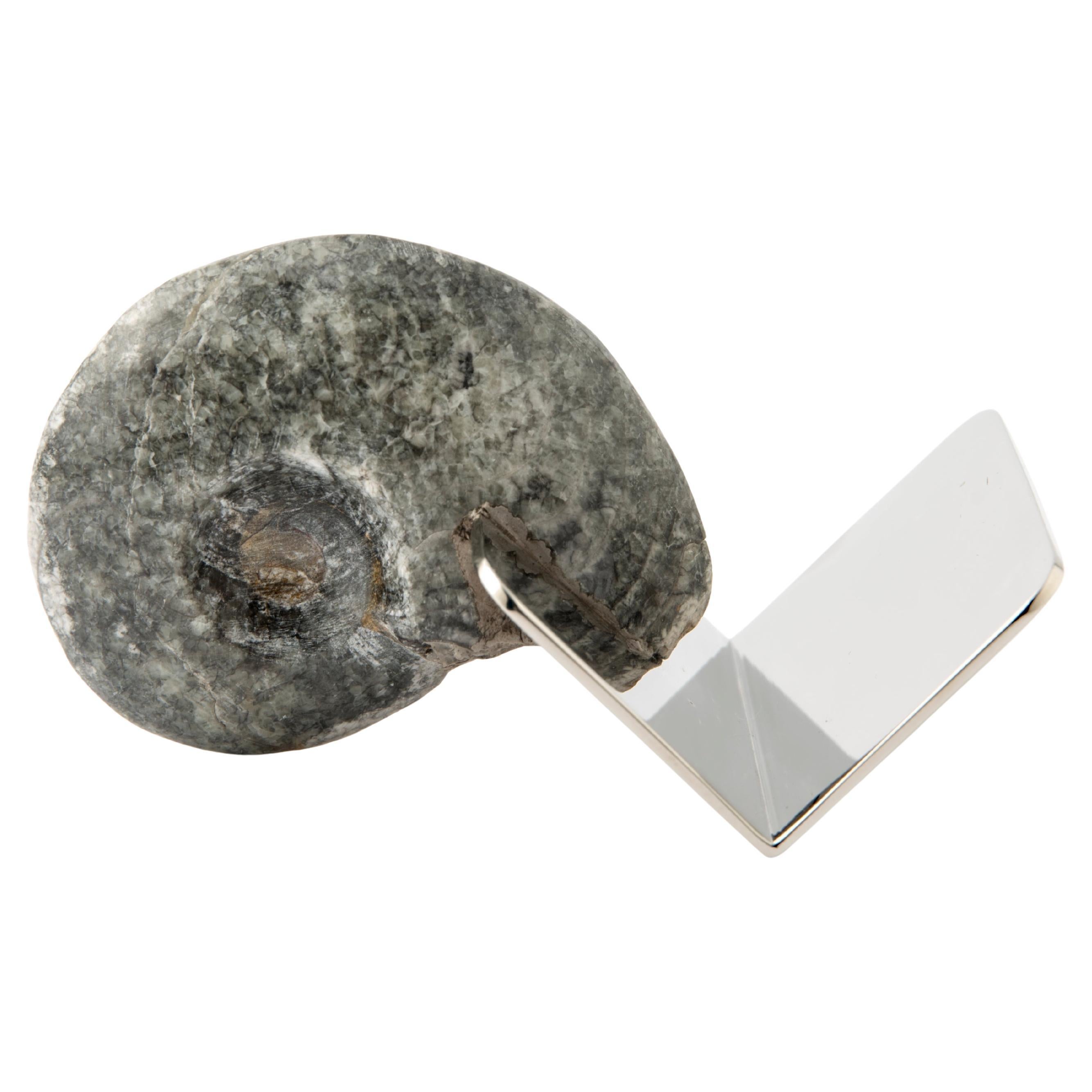 Business Card Holder with Authentic Fossil Ammonite - Unique Piece