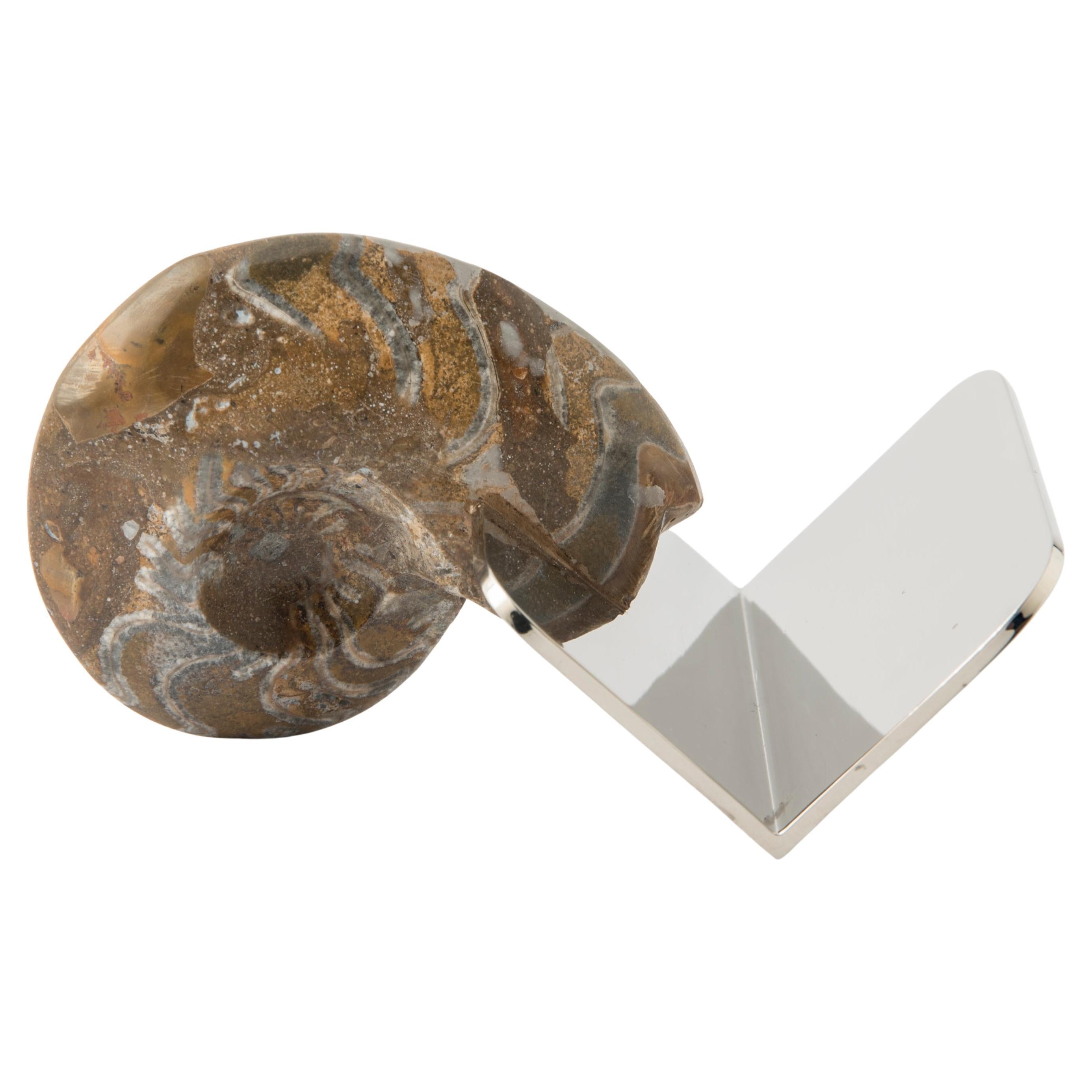 Porte-cartes de visite avec ammonite fossile véritable - Pièce unique