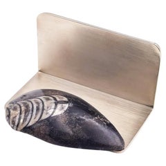 Visitenkartenetui mit Fossil von Orthoceras - Italienisches Design