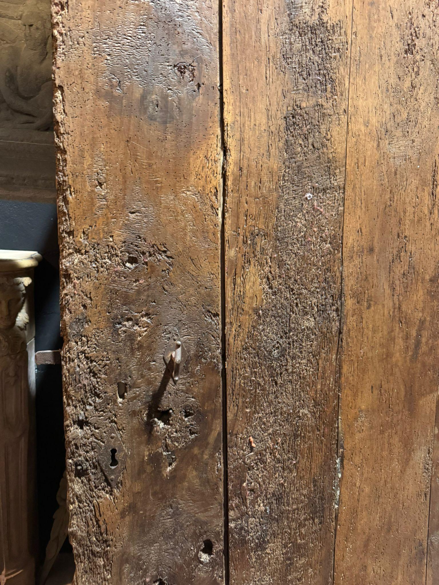 Porta rustica ad assi, in legno solido di pioppo, italia in vendita 1