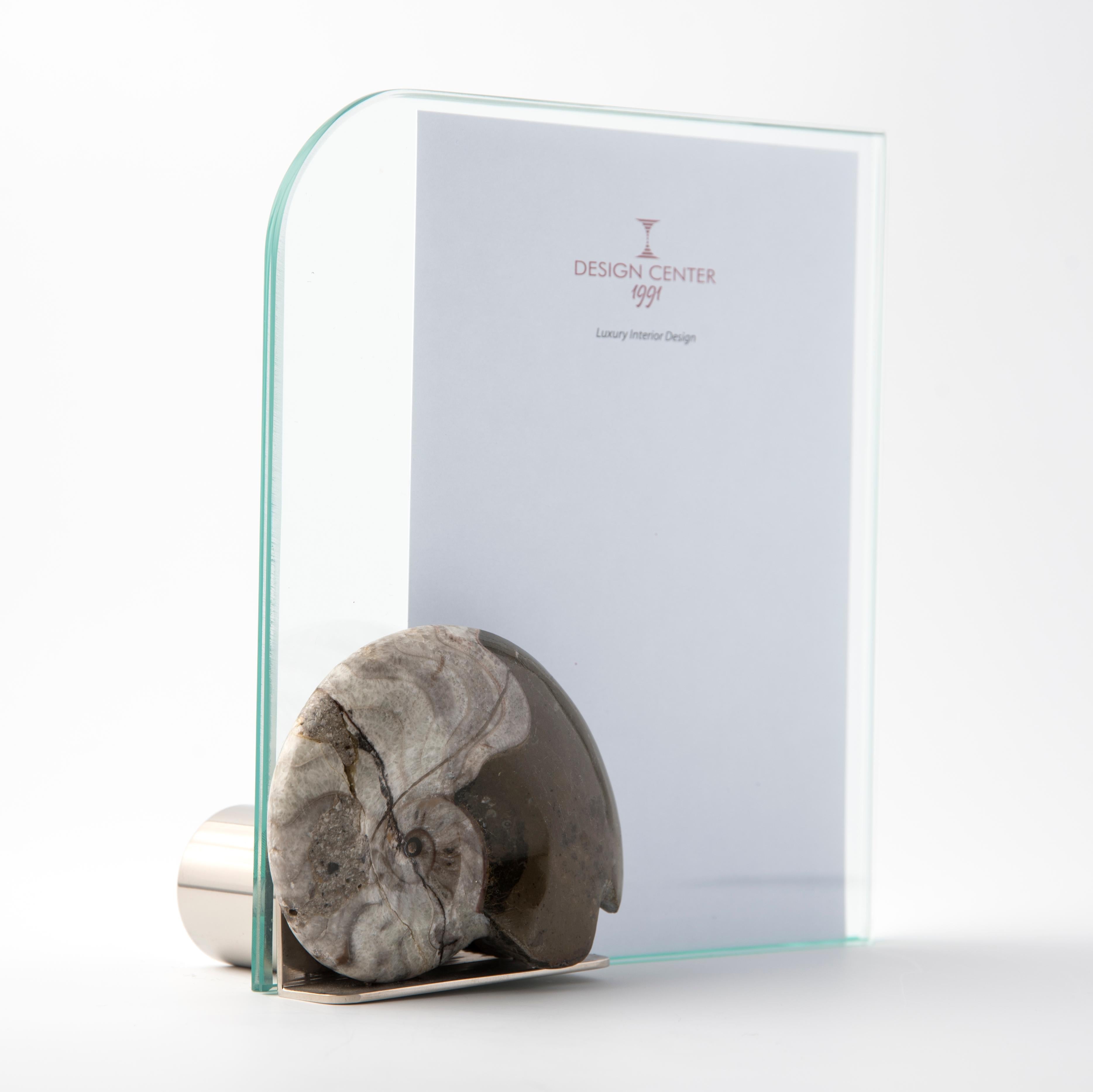 Marco de fotos de amonita fósil - Diseño único y elegante - Colección  Fosilinas en Nuevo estado para la venta en Spilimbergo, IT