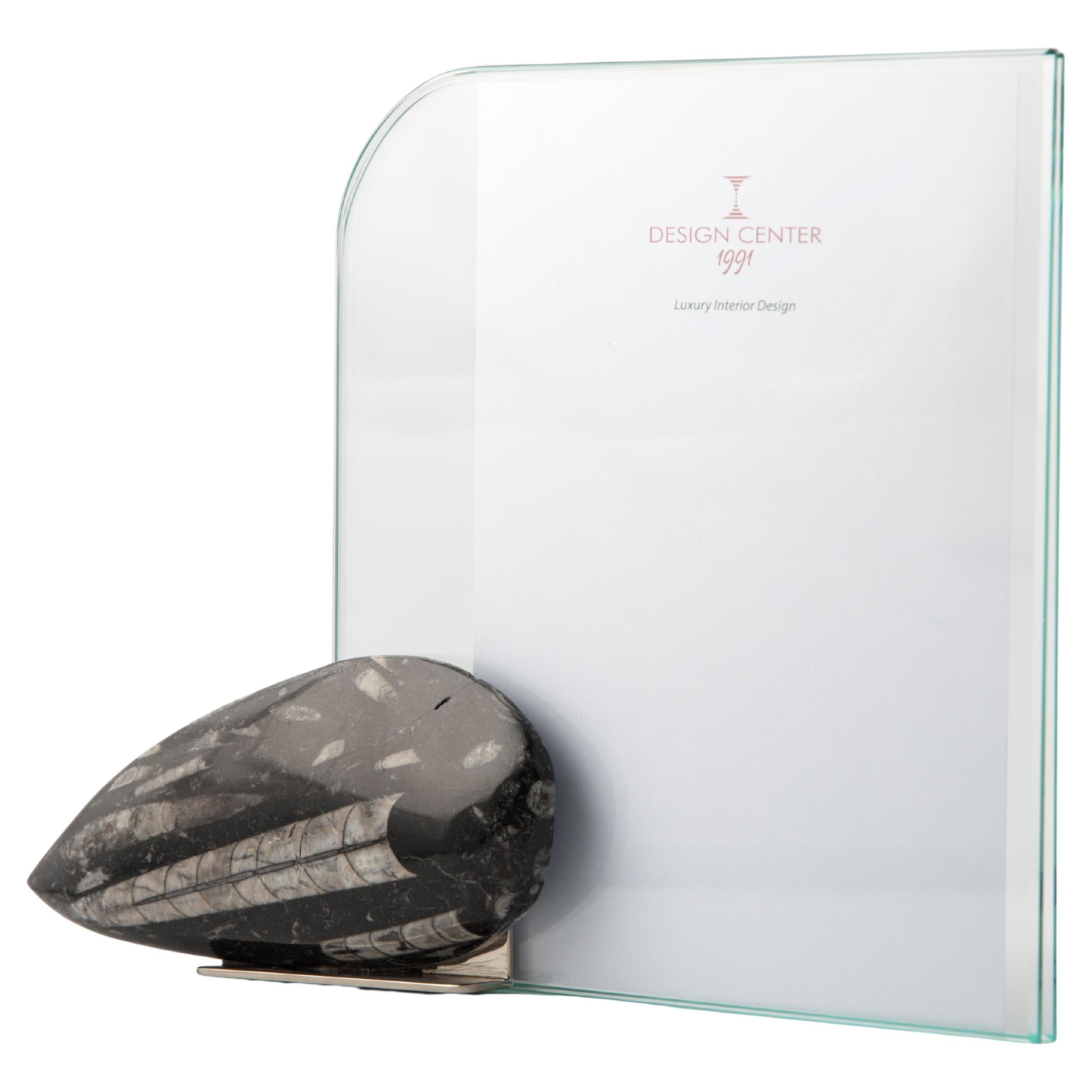 Marco de fotos de diseño con Ortoceras fósiles - Colección Fossiline de Nino Basso en venta