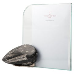 Portafoto Design con Fossile Orthoceras - Collezione Fossiline di Nino Basso