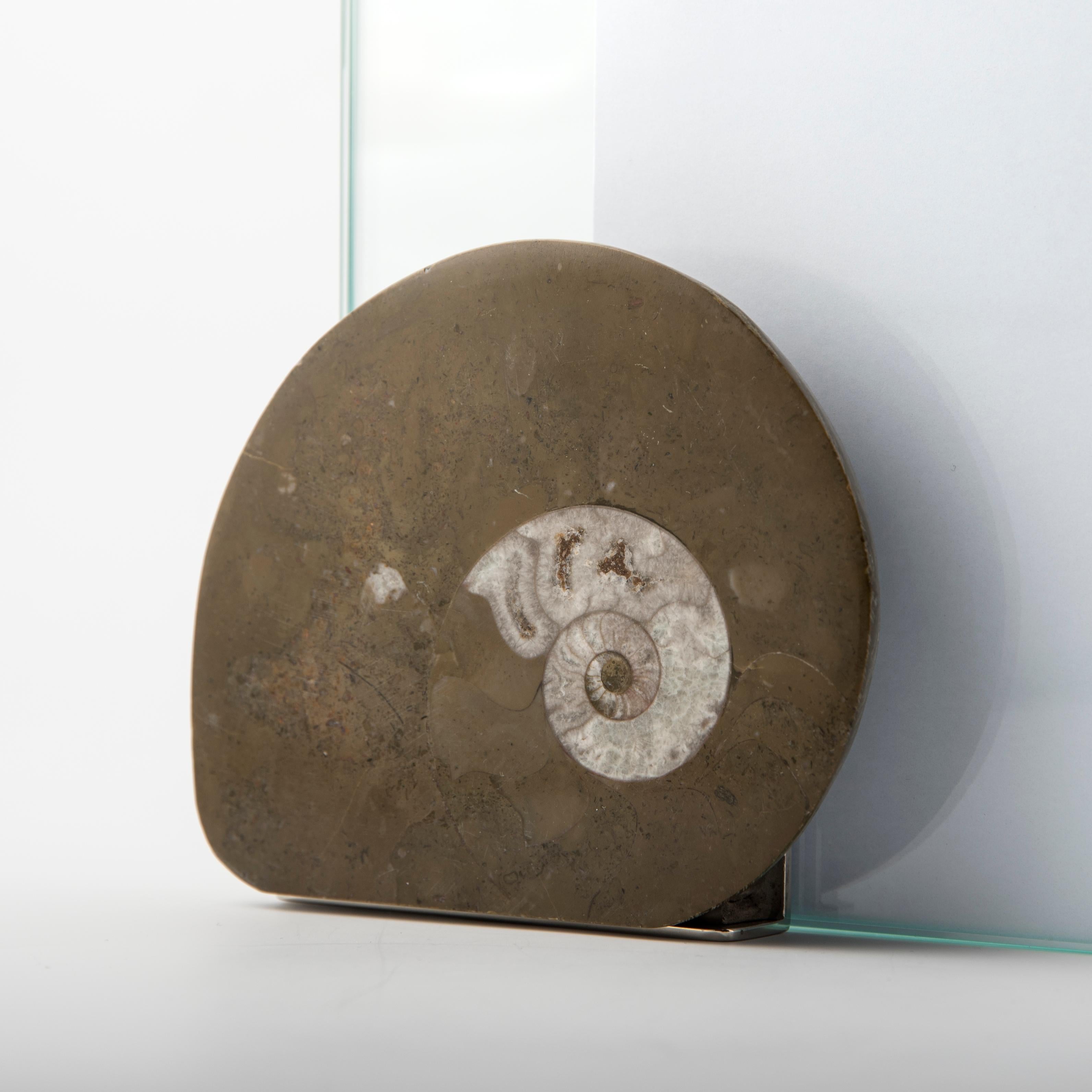 Marco de fotos - Pieza única de diseño contemporáneo  - Colección Fossiline Contemporáneo en venta