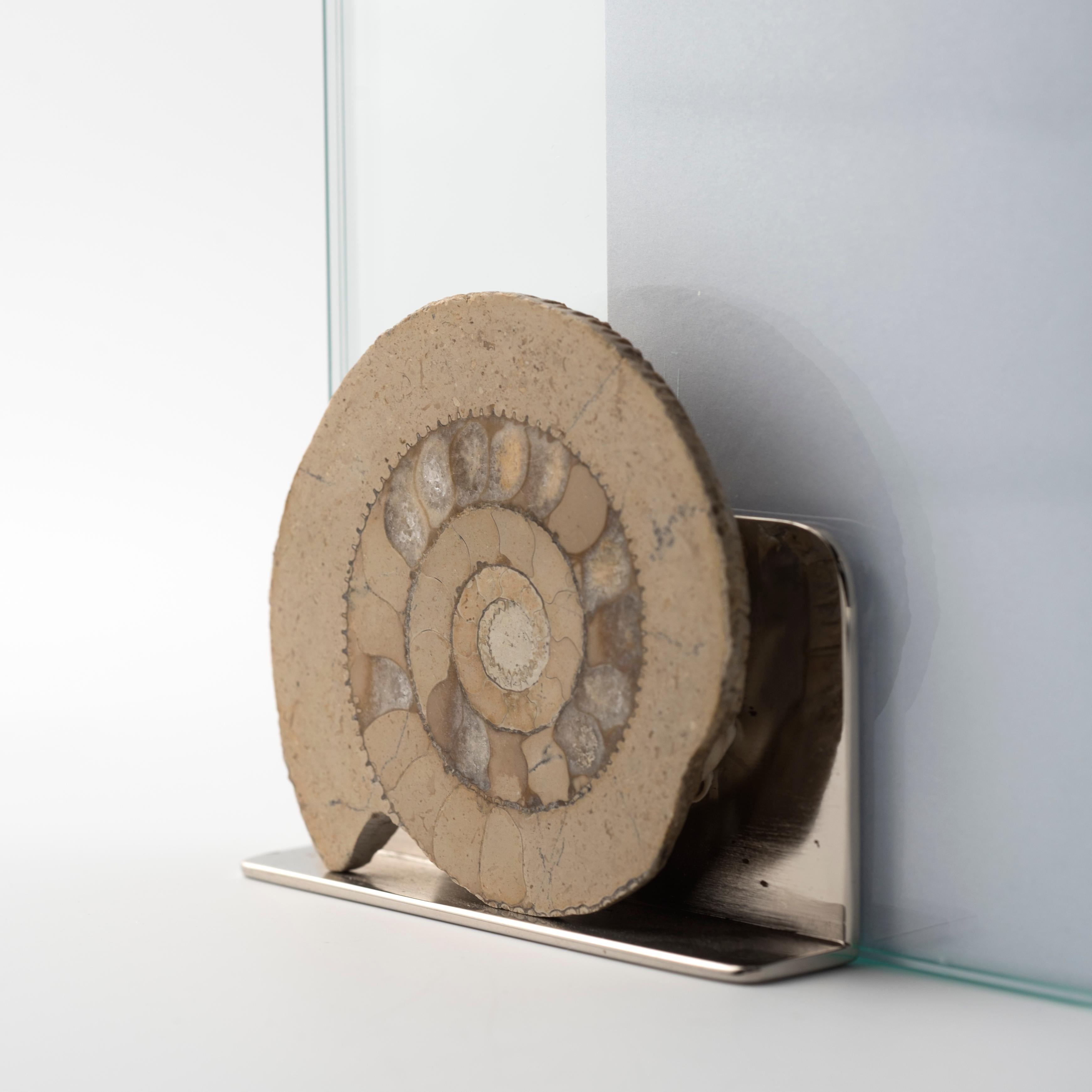 MODERNO y auténtico marco de fotos de diseño ammonite con textura de sombra biege Hecho a mano en venta