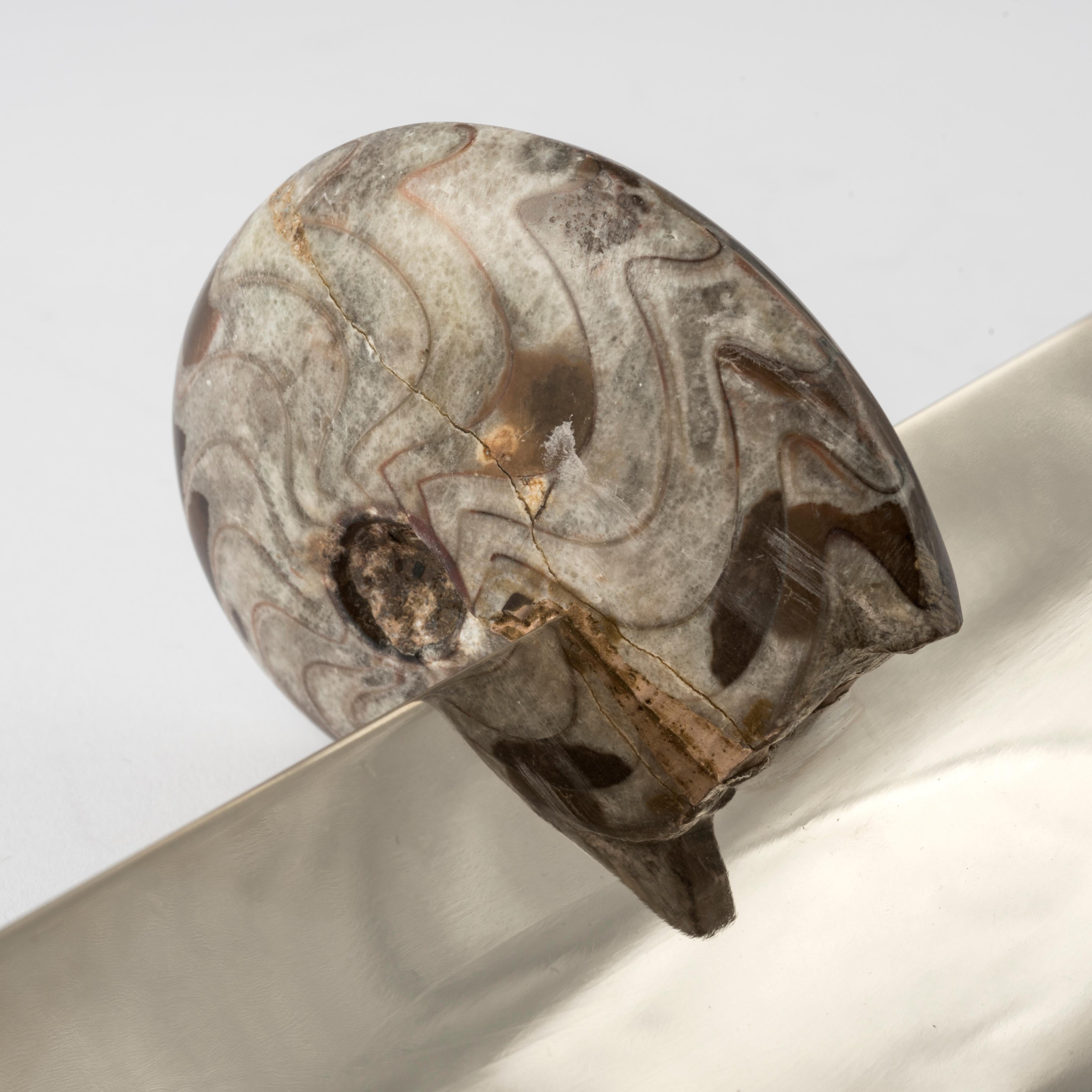Federhalter mit echtem Fossil-Ammonit und Details aus vernickeltem Messing (Zeitgenössisch) im Angebot