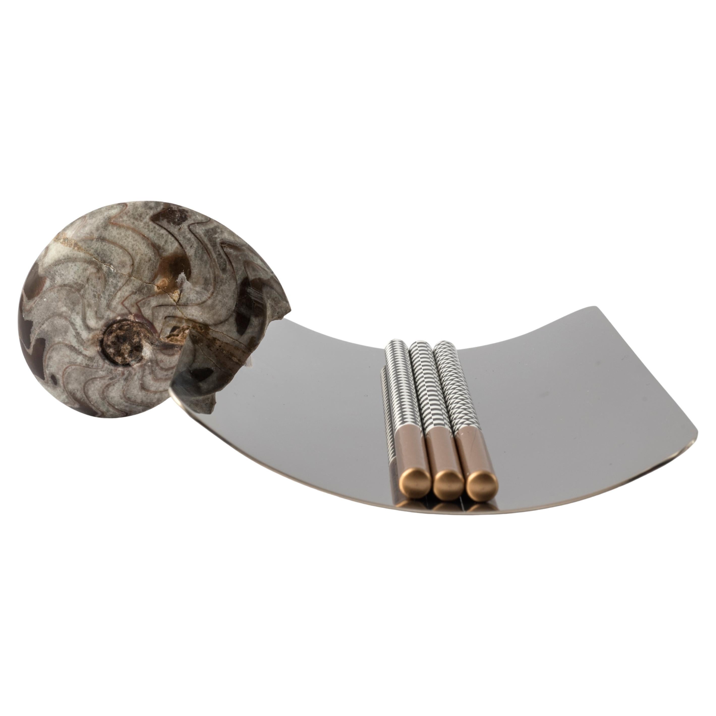 Porte-plume avec ammonite fossile authentique et détails en laiton nickelé