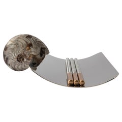 Porte-plume avec ammonite fossile authentique et détails en laiton nickelé