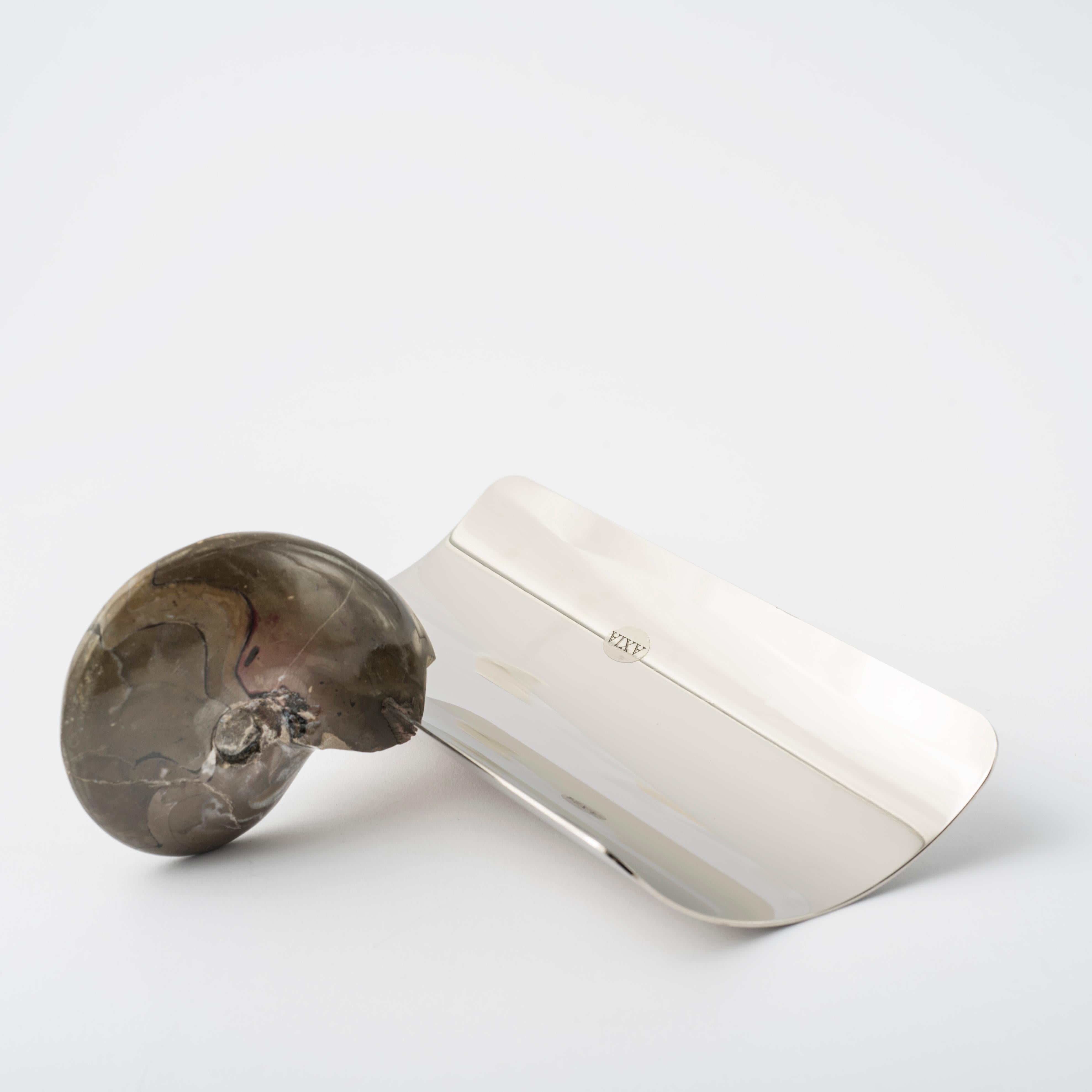 Genuine Fossil Ammonite Pen Holder with Nickel-plated Metal Detail In New Condition For Sale In Spilimbergo, IT