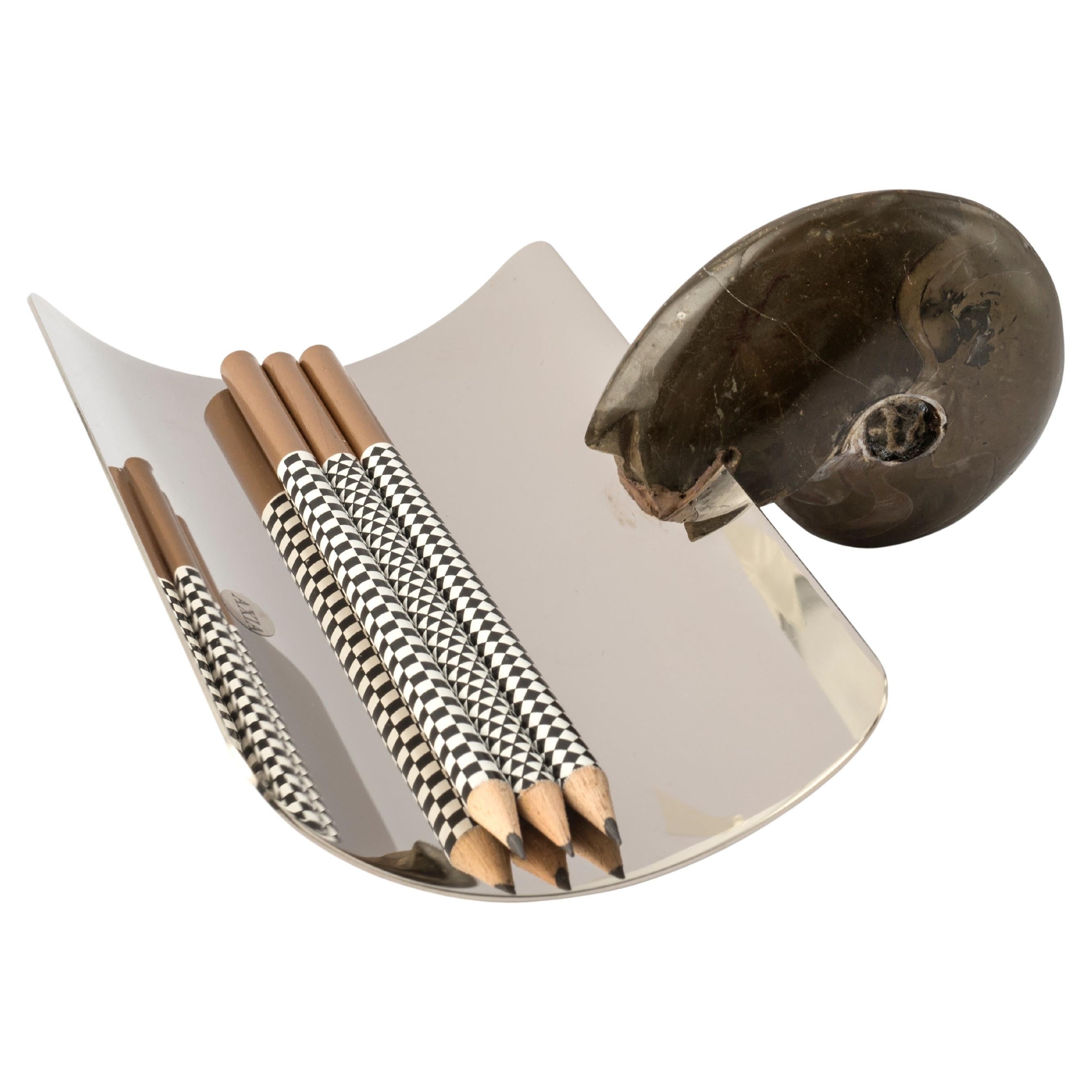 Porte-stylos en ammonite fossile véritable avec détails en métal nickelé