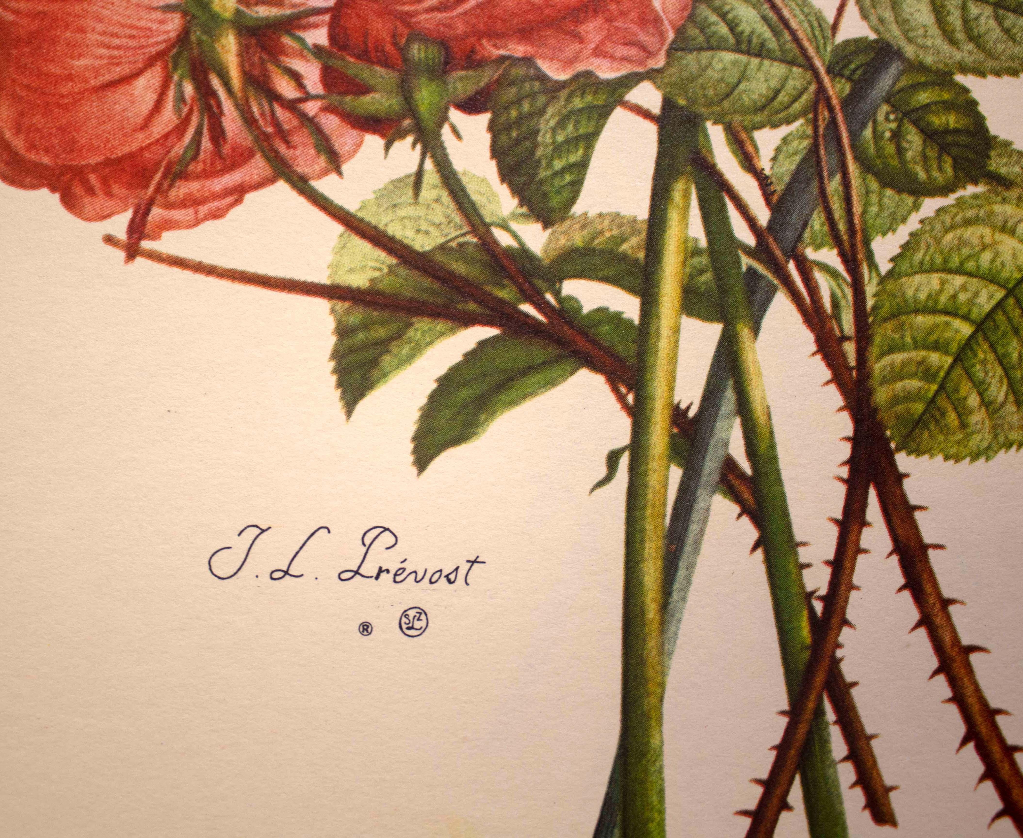 Paper Portfolio of Jean-Louis Prevost Bouquets Etchings