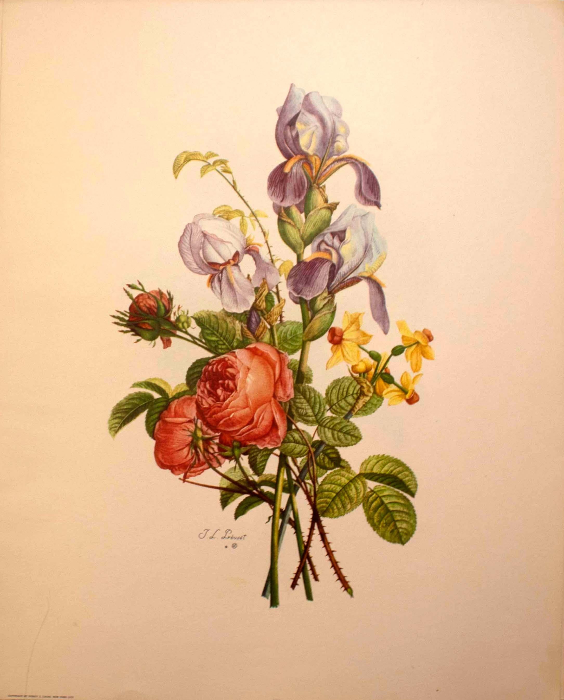Portfolio of Jean-Louis Prevost Bouquets Etchings 1