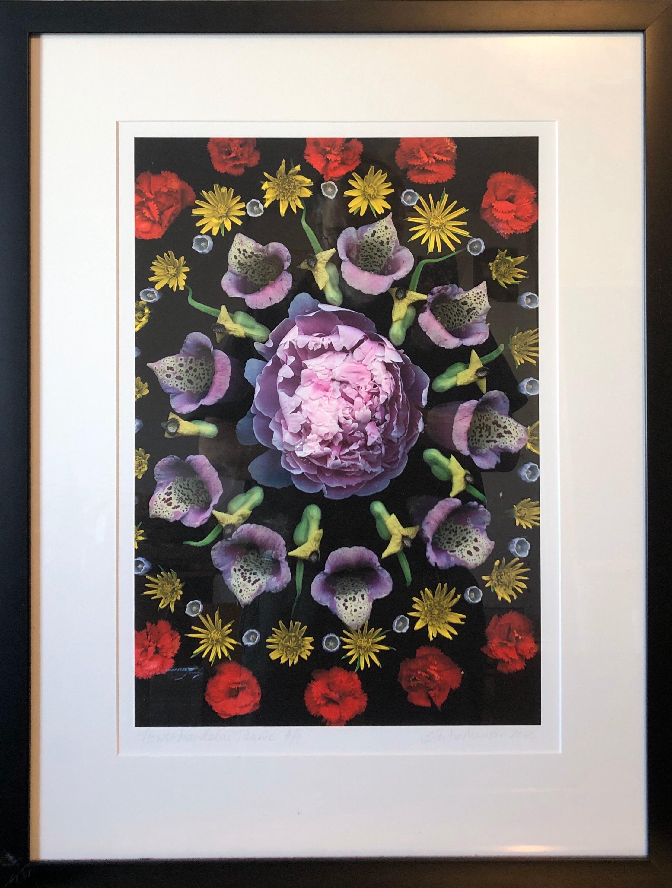Blume Mandala Barock Foto Zeitgenössische Feministische Kunst Digitalfotografie Druck – Print von Portia Munson