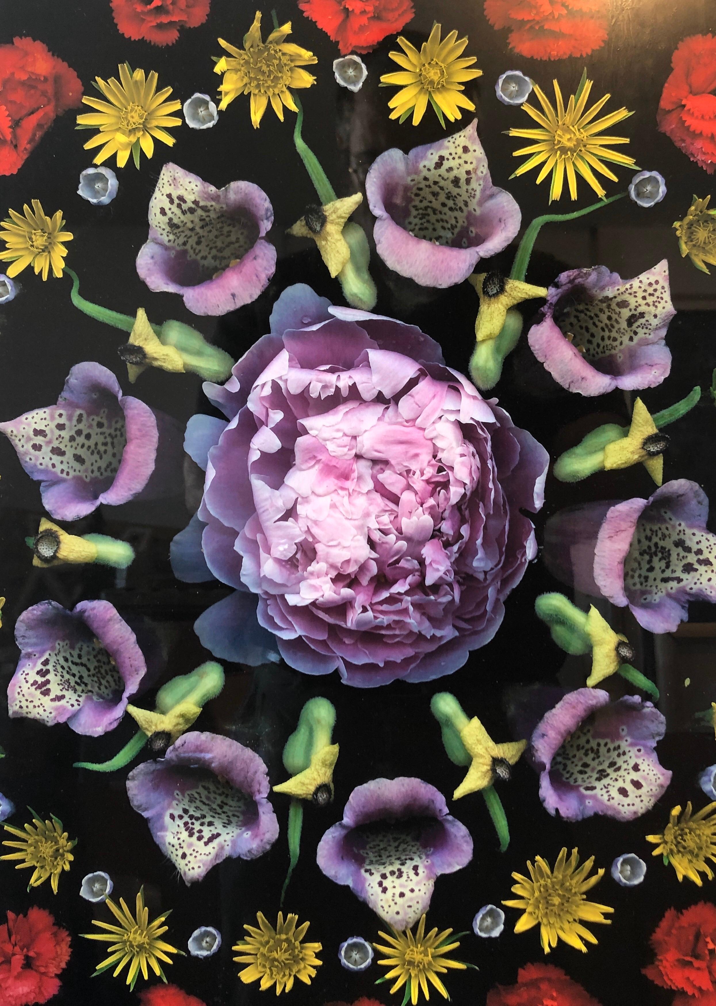 Blume Mandala Barock Foto Zeitgenössische Feministische Kunst Digitalfotografie Druck (Schwarz), Still-Life Print, von Portia Munson