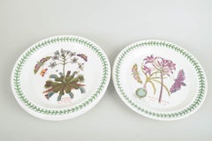 Portmeirion England. 4 große Fayence Essteller. Serie "Der Botanische Garten".