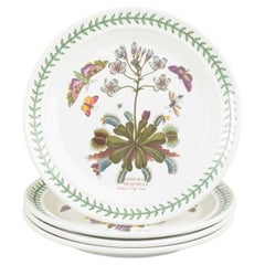 Portmeirion England. 4 große Fayence Essteller. Serie "Der Botanische Garten".