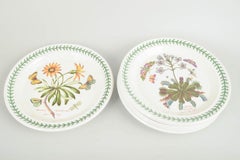 Portmeirion England. 6 large faience dinner plates. "The Botanic Garden" series.