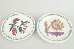 Portmeirion England. Set of 4 faience lunch plates. "The Botanic Garden" series