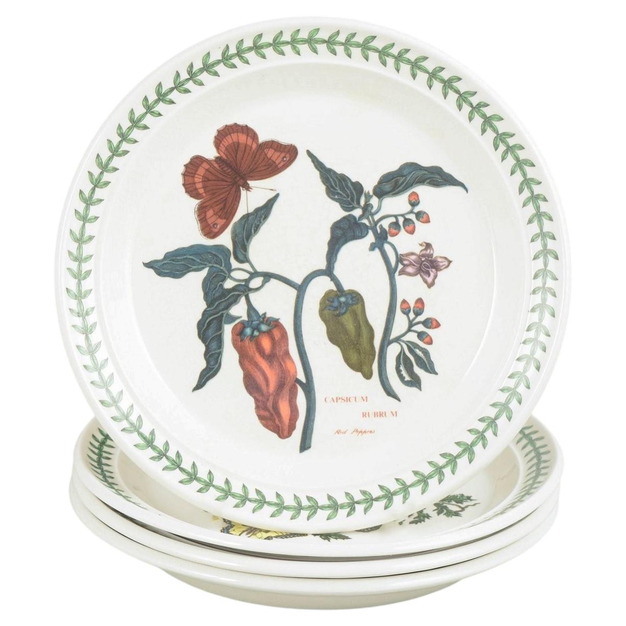 Portmeirion Inghilterra. Set di 4 piatti da pranzo in maiolica. "Serie "Il giardino botanico in vendita
