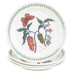 Portmeirion England. Set of 4 faience lunch plates. "The Botanic Garden" series