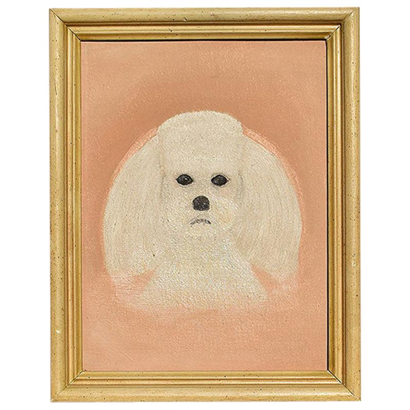 Portrait Animal Painting of a White Dog on a Pink Background, Outsider Art