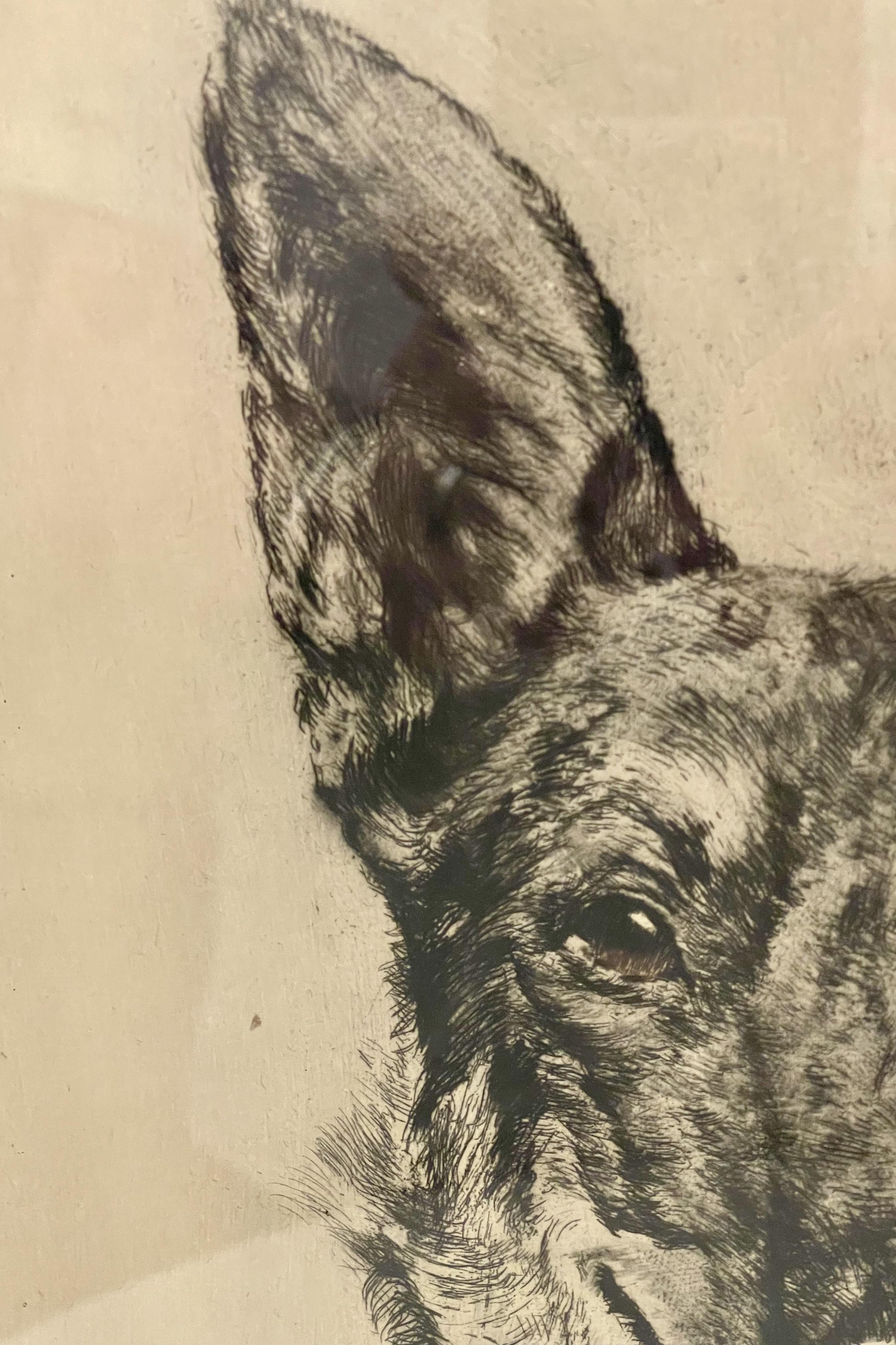 Ritratto raffigurante la testa di un cane da pastore tedesco, cornice in radica, Germania anni '30 in vendita 3