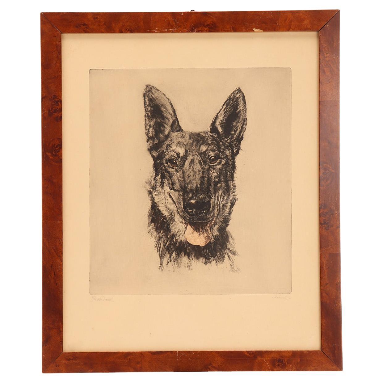 Portrait depicting the head of a German Shepherd dog, briar frame, Germany 1930s