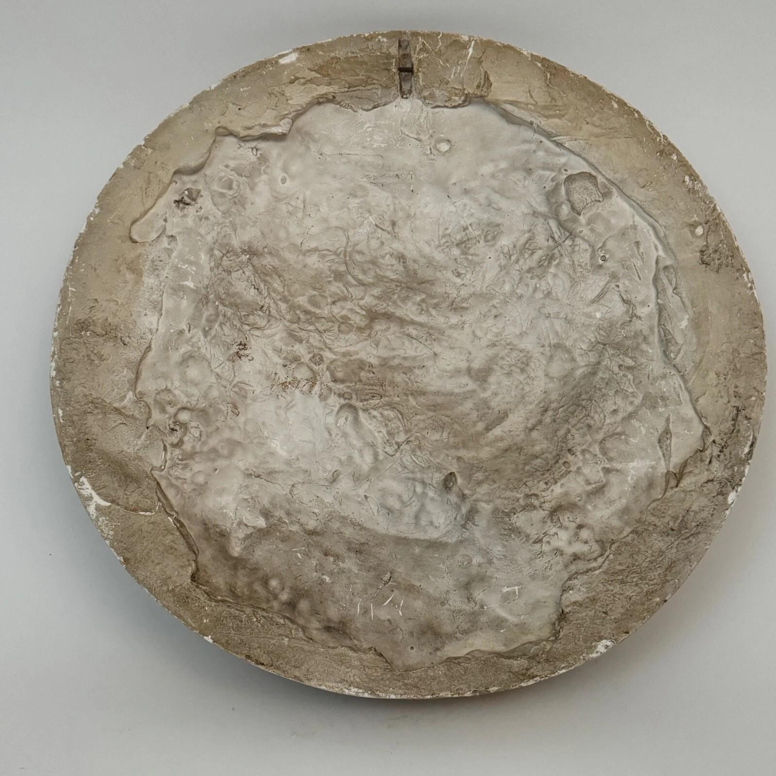 20th Century Portrait Medallion in Plaster by Charles Filleul – Male Profile, 1901. For Sale