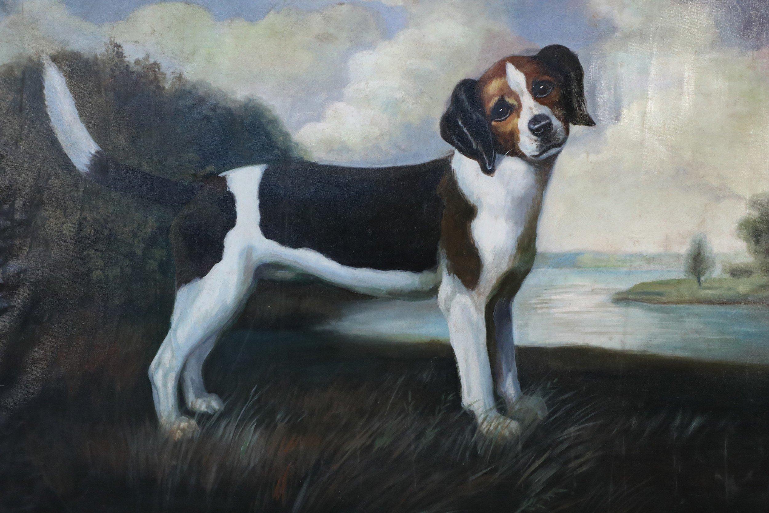 Grande peinture à l'huile sur toile non encadrée, d'époque (20e siècle), représentant un beagle noir, blanc et brun se tenant droit avec une légère inclinaison de la tête dans un champ d'herbe, avec une rivière, une forêt et des collines servant