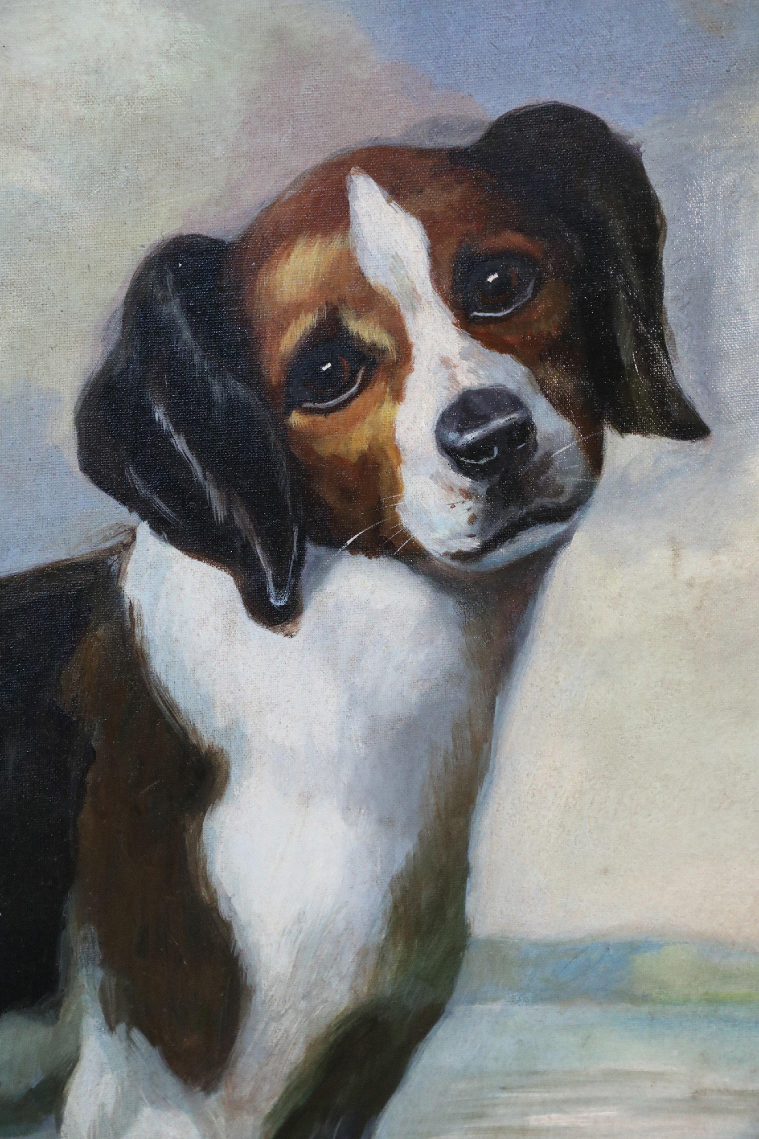 black and white beagle